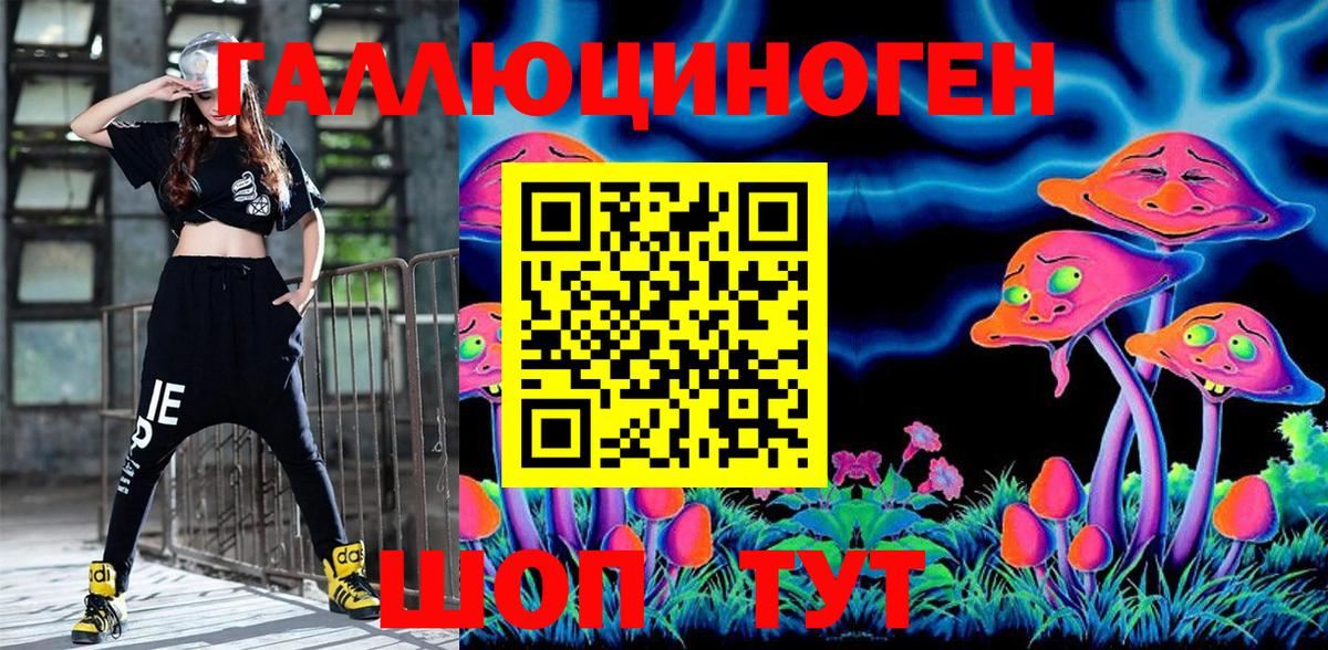 Балашов  Псилоцибиновые грибы мухоморы  Вход с VPN 